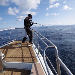オーシャンズ　京都 釣果