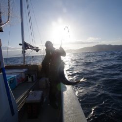オーシャンズ　京都 釣果