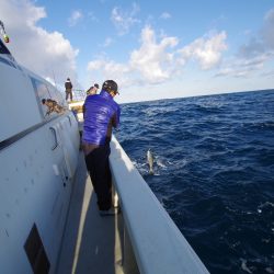 オーシャンズ　京都 釣果