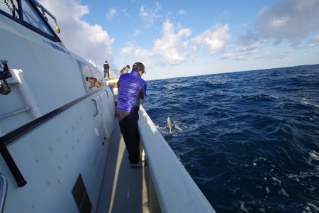オーシャンズ　京都 釣果
