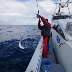 オーシャンズ　京都 釣果