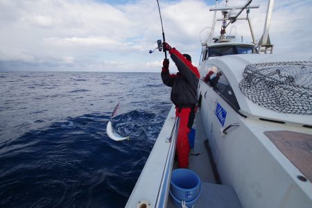 オーシャンズ　京都 釣果