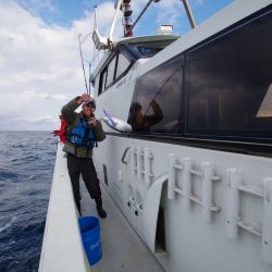 オーシャンズ　京都 釣果