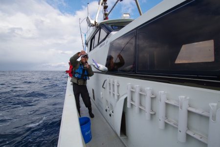 オーシャンズ　京都 釣果