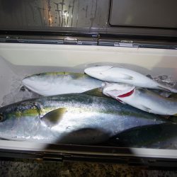 オーシャンズ　京都 釣果