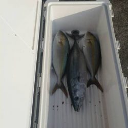 第五慶門丸 釣果