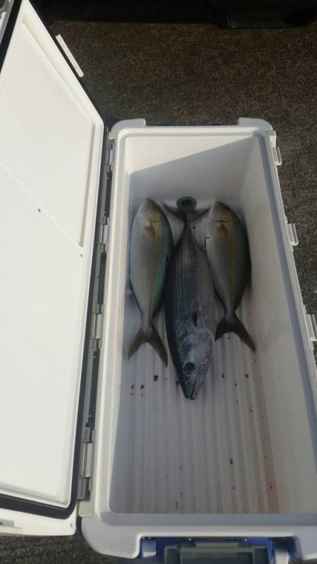 第五慶門丸 釣果