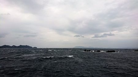 しば渡船 釣果