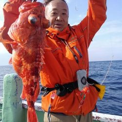 遊漁船 新鋭丸 釣果