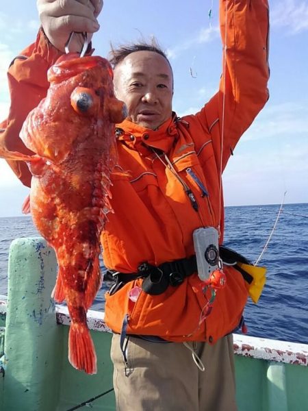 遊漁船 新鋭丸 釣果