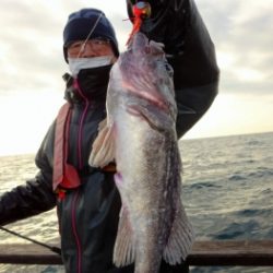 鯛紅丸 釣果