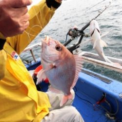 鯛紅丸 釣果