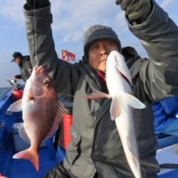 鯛紅丸 釣果