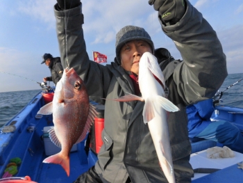 鯛紅丸 釣果