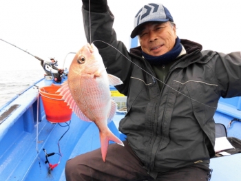 鯛紅丸 釣果