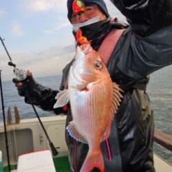 鯛紅丸 釣果