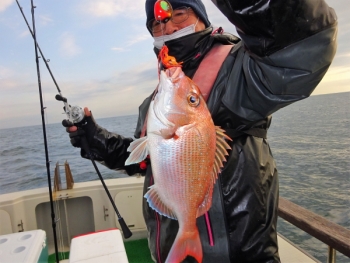 鯛紅丸 釣果