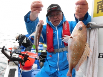鯛紅丸 釣果