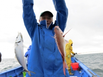 鯛紅丸 釣果