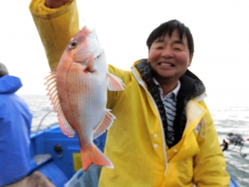 鯛紅丸 釣果