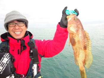 鯛紅丸 釣果