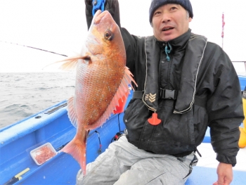 鯛紅丸 釣果