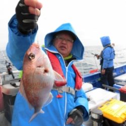 鯛紅丸 釣果