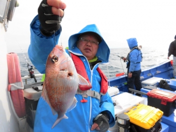 鯛紅丸 釣果