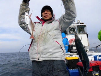 鯛紅丸 釣果
