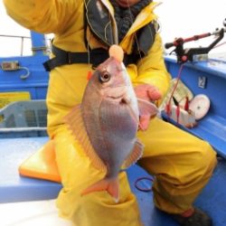 鯛紅丸 釣果
