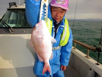 鯛紅丸 釣果