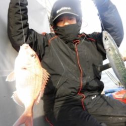 鯛紅丸 釣果