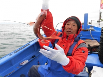 鯛紅丸 釣果