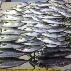 Hit Rush(ヒット ラッシュ） 釣果