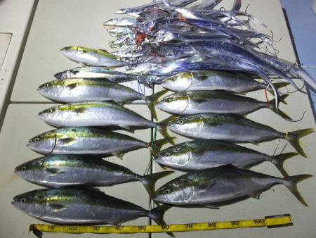 Hit Rush(ヒット ラッシュ） 釣果…