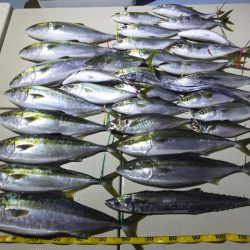 Hit Rush(ヒット ラッシュ） 釣果