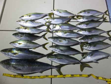 Hit Rush(ヒット ラッシュ） 釣果…