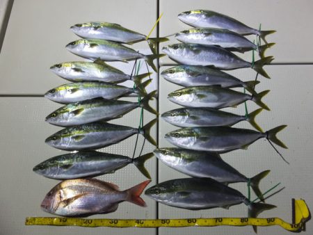 Hit Rush(ヒット ラッシュ） 釣果…