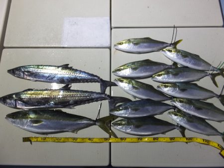 Hit Rush(ヒット ラッシュ） 釣果…