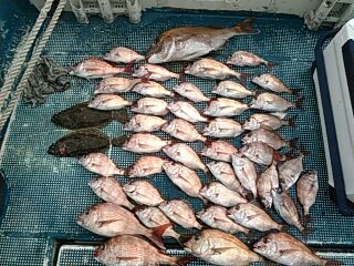 フィッシングガイド りょう 釣果