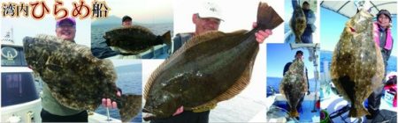 海晴丸 釣果