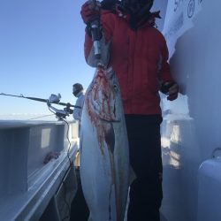 寿裕 （YOSHIHIRO） 釣果