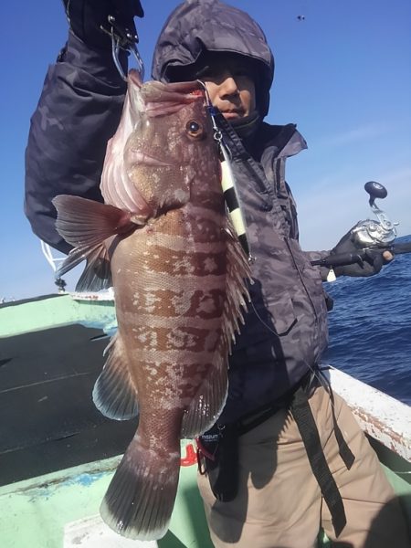 遊漁船 新鋭丸 釣果