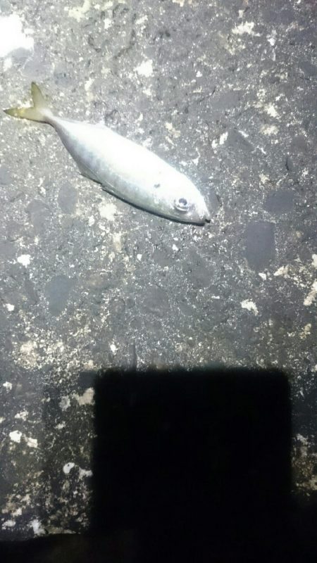 少なくなってきた。