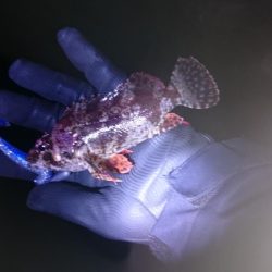 Googleアースにて