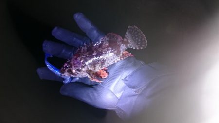 Googleアースにて