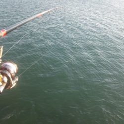 食べて美味しい