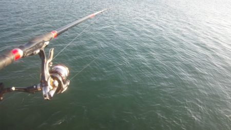 食べて美味しい