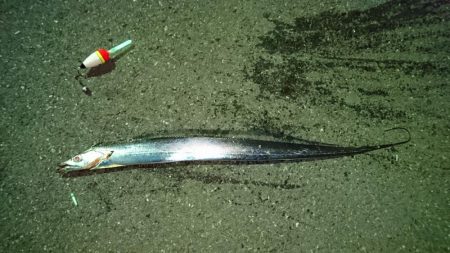 やっと釣れた＼(^^)／