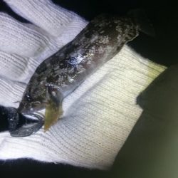 Googleアースにて